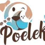 Hondenzwemvijver Ut Poeleke